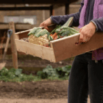 Se lancer dans l’agriculture : un tremplin concret et local – Formation à venir