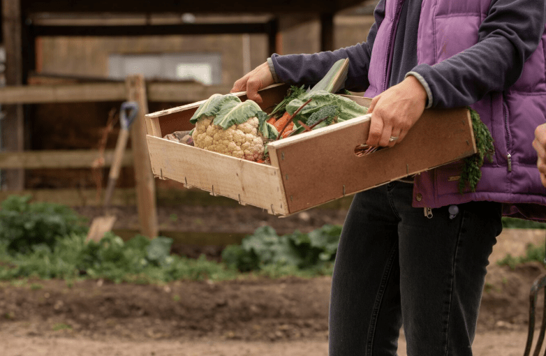 You are currently viewing Se lancer dans l’agriculture : un tremplin concret et local – Formation à venir