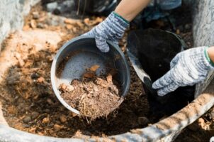 Des formations Bokaworm® qui séduisent et mobilisent : un succès partagé entre agriculteurs et MFR