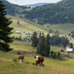 Retour sur nos journées “Devenir agriculteur de moyenne montagne”