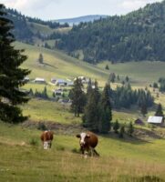 Retour sur nos journées “Devenir agriculteur de moyenne montagne”