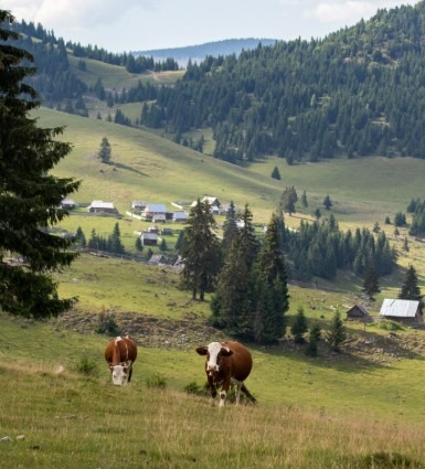 You are currently viewing Retour sur nos journées “Devenir agriculteur de moyenne montagne”